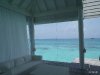 Ausblick